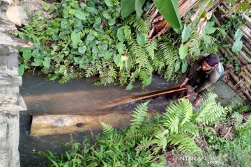 Kodim-KPH Puncak Ngengas amankan puluhan batang kayu hutan