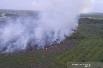 Satgas berjibaku padamkan Karhutla di zona inti Cagar Biosfer Riau