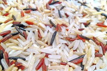 CIPS usulkan tingkat harga sebagai indikator impor beras