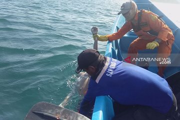 Tim SAR temukan korban tenggelam di Pantai Payangan Jember