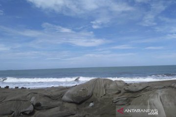 Abrasi Pantai Aceh Barat Semakin Parah