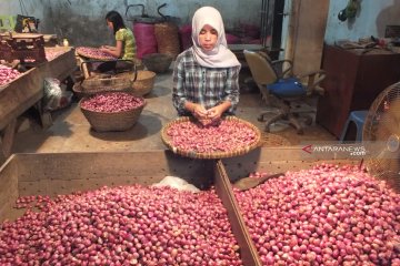 Harga kebutuhan pokok di Jember fluktuatif di awal Ramadhan