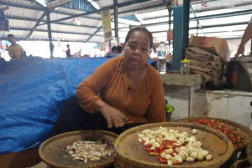 Papua Barat ajukan izin impor langsung bawang putih hadapi Idul Fitri