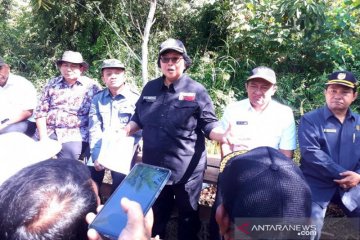 Hutan rakyat di Pulang Pisau ditarget jadi percontohan internasional