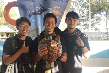 Mahasiswa Thailand belajar konservasi penyu di Bengkulu