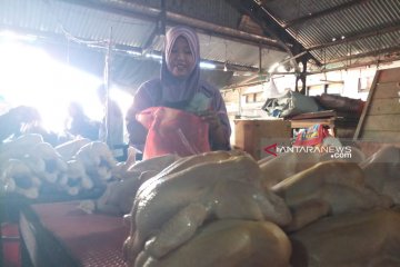 Pedagang di Kupang optimistis harga daging selama Ramadhan stabil