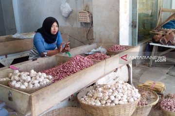 Harga bawang putih di pasar tradisional Jember mulai turun