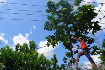 PLN UP3 Sanggau siagakan ratusan petugas amankan pasokan listrik