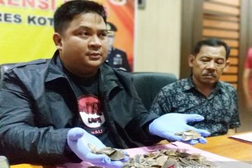 Polres Kotawaringin Timur tangkap  penjual sisik trenggiling