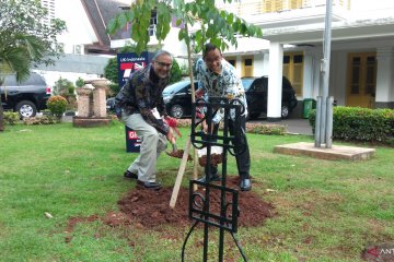 Anies, Moazzam tanam pohon peringati hubungan 70 tahun Indonesia-UK