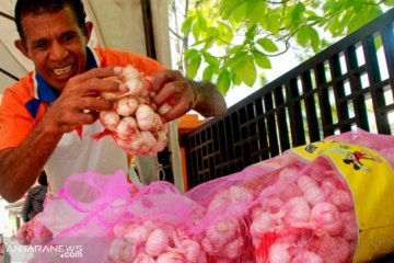 Bulog tambah stok 1,5 ton bawang merah dari petani Sabu Raijua