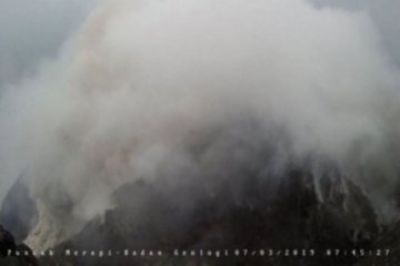 Gunung Merapi meluncurkan awan panas guguran sejauh 1.200 meter