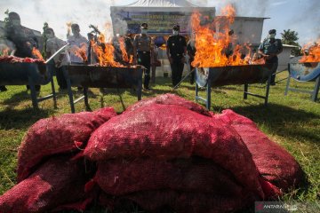 Pemusnahan bawang merah selundupan