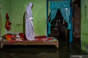 Rob genangi permukiman warga di pesisir Demak