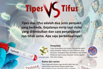 Tipes vs tifus