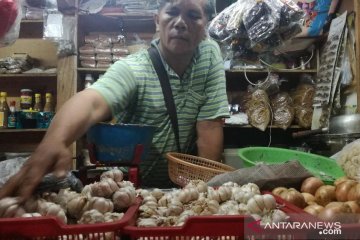 Harga bawang putih berangsur turun