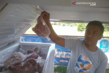 Daging kerbau banyak diminati warga Putussibau