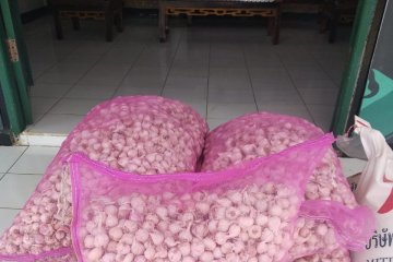 Polisi Maritim Malaysia tangkap WNI penyelundup empat ton gula pasir