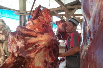 Pemotongan hewan di RPH jaga daging tetap "ASUH"