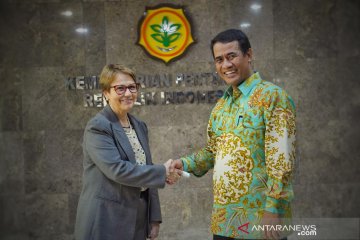 Pemerintah undang Brasil investasi industri gula di Indonesia