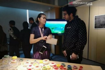 Seniman Indonesia berpameran di Nanjing