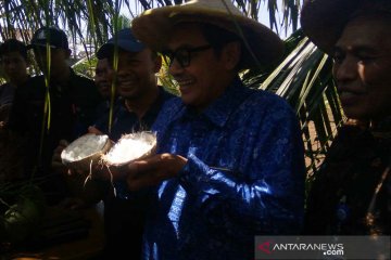 Dosen UMP gunakan teknologi kultur jaringan kembangkan kelapa kopyor