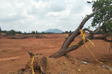 Sembilan anggota DPRD Kepri dukung hak angket tambang