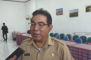 NTT siapkan Festival Florata dukung turnamen tinju internasional