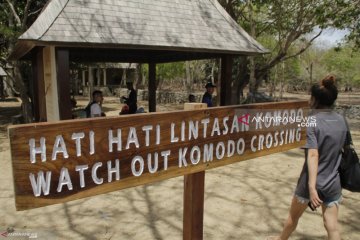 Undana lakukan kajian literatur rencana penutupan Pulau Komodo