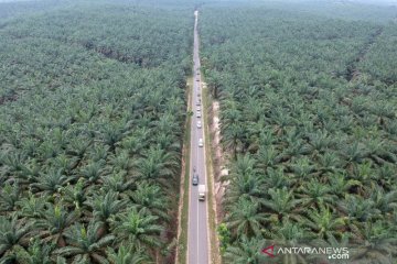 Gubernur minta jembatan timbang di Jambi dijadikan 'rest area'