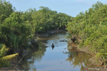 Rencana pengembangan kawasan hutan bakau