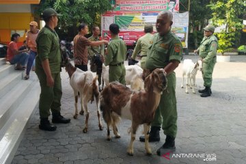 KPPS berprestasi dihadiahi kambing
