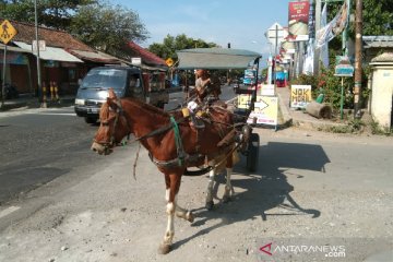 Garut larang delman beroperasi di jalur mudik Lebaran