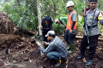 BBKSDA Riau pasang kamera jebak di pelintasan harimau sumatera