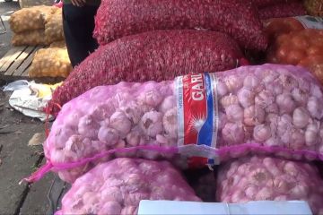 Bawang putih di Pangkalpinang dijual Rp28 ribu per kilogram