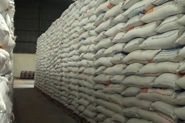 Produksi beras Pekalongan surplus 90 ribu ton