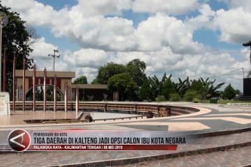 Tiga daerah di Kalteng jadi opsi calon ibu kota negara