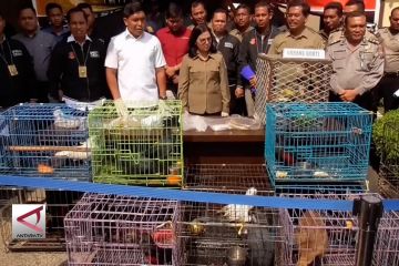 Serentetan kasus penyelundupan satwa di Sumut