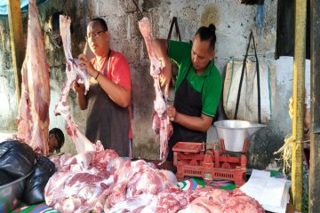 Jelang Idul Fitri harga daging sapi di Jayapura mulai naik