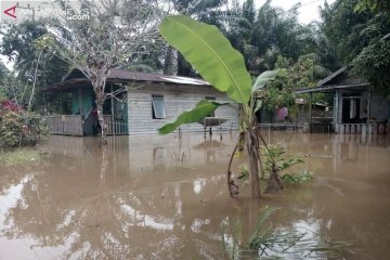 Tujuh wilayah di Penajam terendam banjir