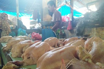 Jelang Idul Fitri harga ayam potong melonjak tinggi di Lhokseumawe