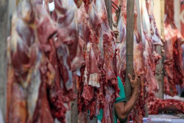 Harga daging saat tradisi meugang