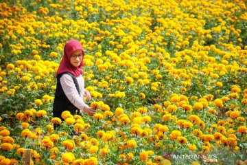 Kulon Progo kembangkan objek wisata Embung Krapyak di Banjaroya