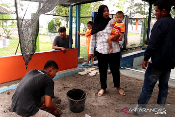 Petugas penangkaran penyu Pariaman siap dampingi pengunjung Lebaran