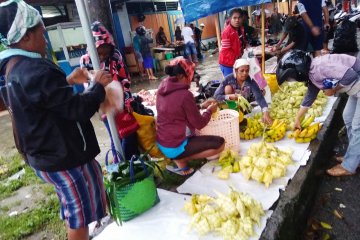 Warga asli Papua berjualan daun ketupat tambah pendapatan keluarga