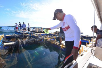 Gubernur Sulsel bahas rehabilitasi Pulau Samalona