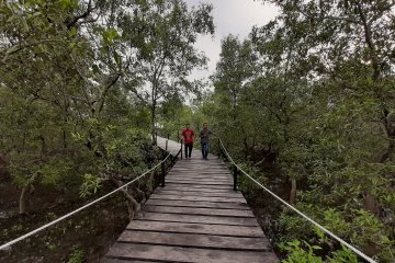 Objek jembatan wisata Batu Limau jadi alternatif tujuan libur lebaran