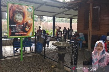 Belasan ribu orang berwisata ke Taman Satwa Cikembulan di Garut