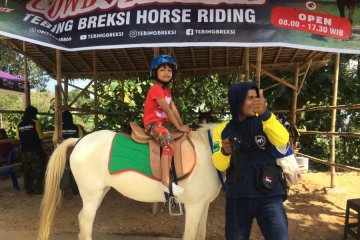 Pengelolaan Tebing Breksi hadirkan wahana "Cowboy Breksi"