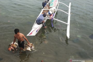 Nelayan Takalar mulai melaut